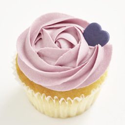 Blueberry Classic Size Cupcake 300x300