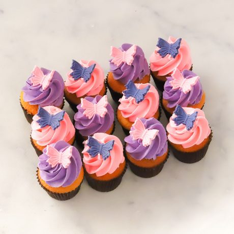 Butterfly Mini Cupcakes