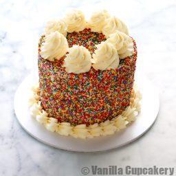 Sprinkle Cake Plain