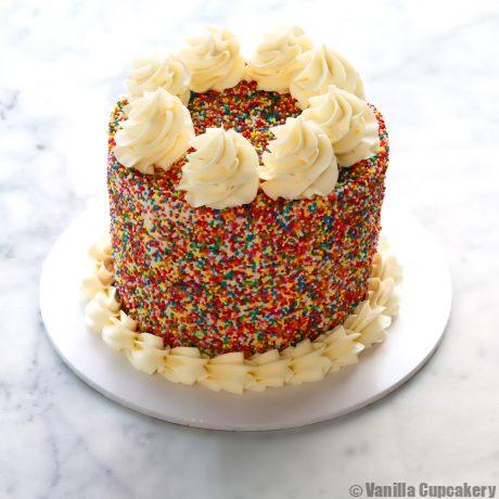 Sprinkle Cake Plain