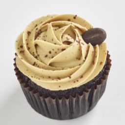 Espresso Classic size cupcake