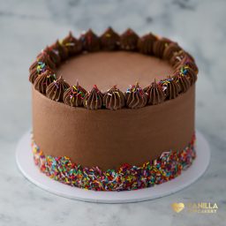 Chocolate Sprinkle Birthday Cake