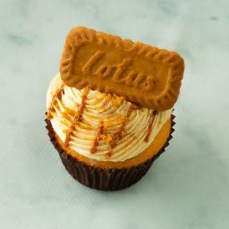 Lotus Biscoff Cupcake