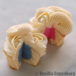Gender reveal cupcakes pink and blue