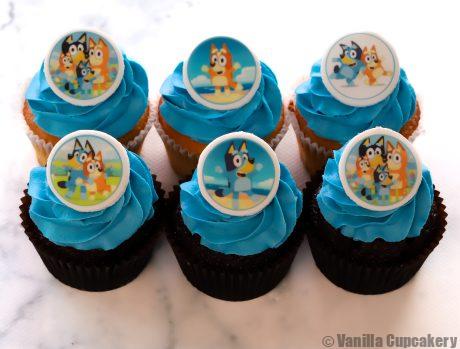 Bluey classic size cupcakes