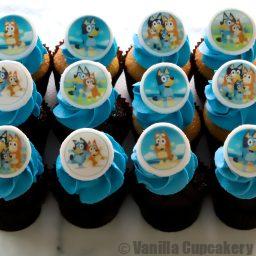 Bluey mini cupcakes