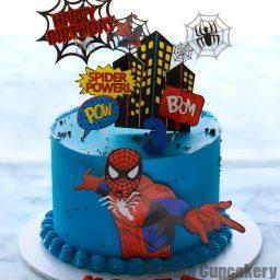 Spiderman Cake Best Cakes Sydney - Handmade Celebration Cakes